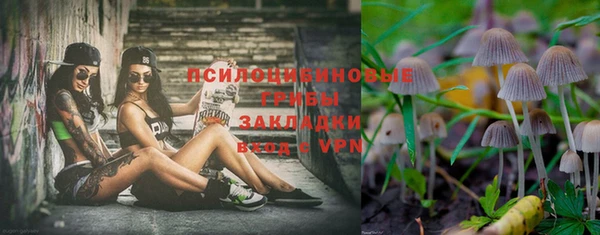 метадон Новодвинск