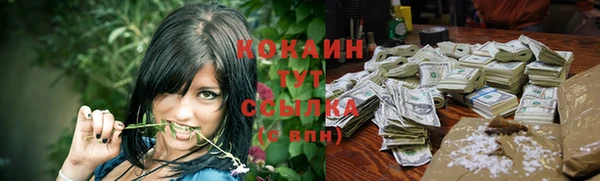 метадон Новодвинск