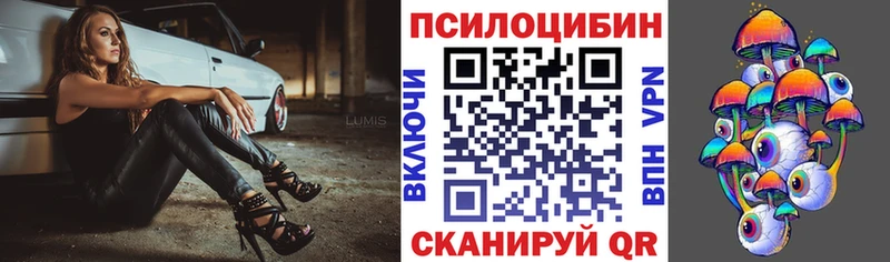 Купить  Томари  Галлюциногенные грибы Psilocybe 